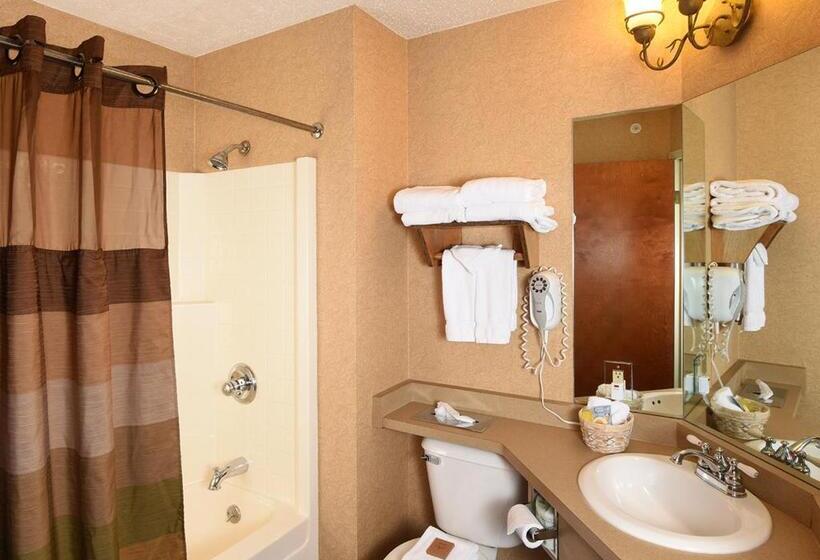 Номер Deluxe, Cedar Creek Hotel Wausau   Rothschild