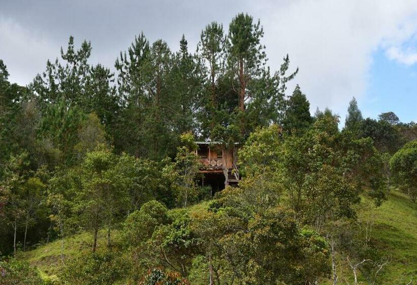 패밀리 방갈로, Glamping Ancestros Ecoparque
