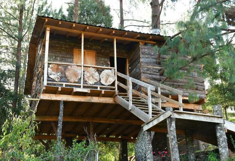 패밀리 방갈로, Glamping Ancestros Ecoparque