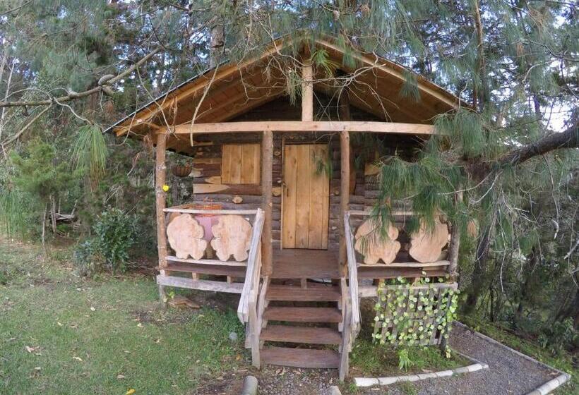 스탠다드 방갈로 정원 전망, Glamping Ancestros Ecoparque