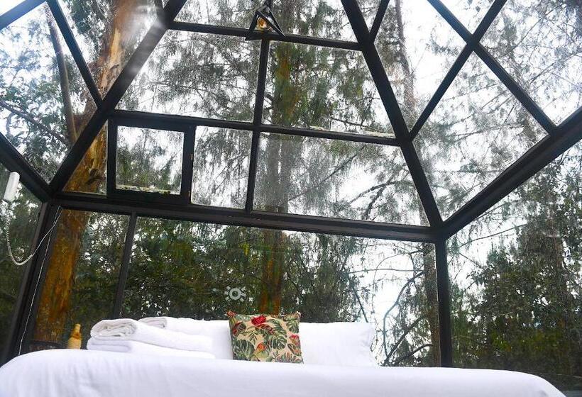 디럭스 스위트, Glamping Ancestros Ecoparque
