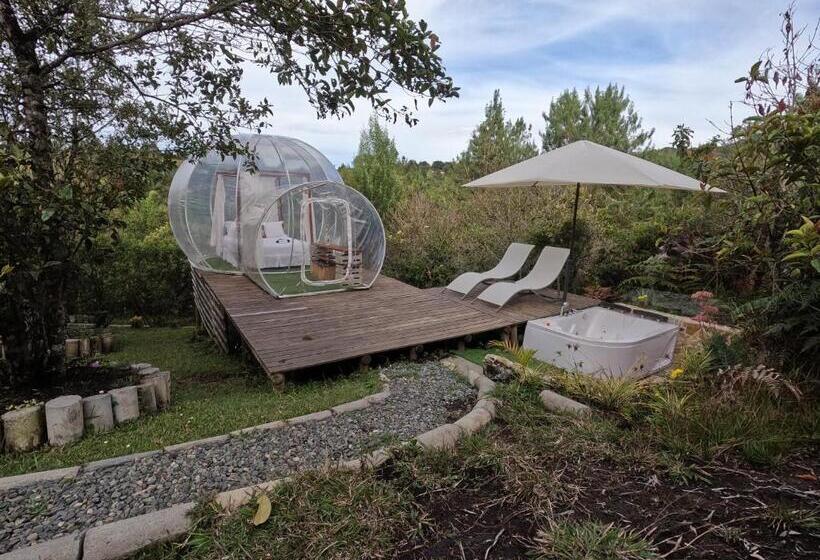 자쿠지 스위트, Glamping Ancestros Ecoparque