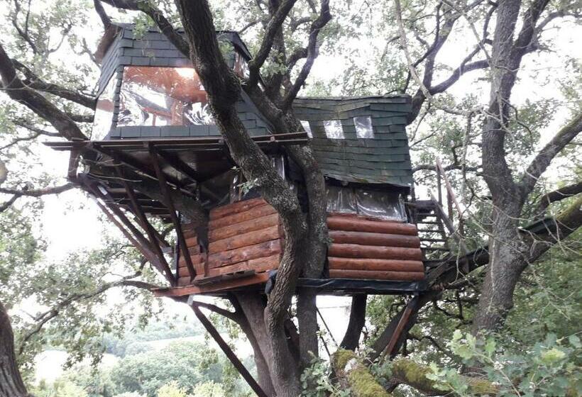 Номер Стандарт Вид на Горы, B&b La Cabane Insolite