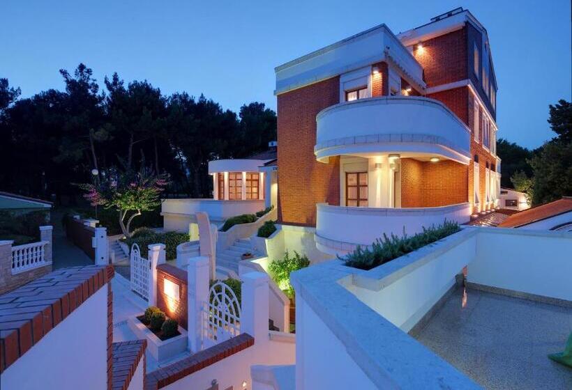 ویلای سوپریور 1 خوابه, Boutique Hotel Villa Vulin