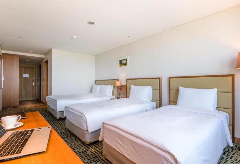 اتاق لوکس خانوادگی, Grabel Hotel Jeju