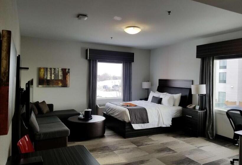 Номер Стандарт Адаптированный для Инвалидов, Best Western Plus Airport Inn & Suites