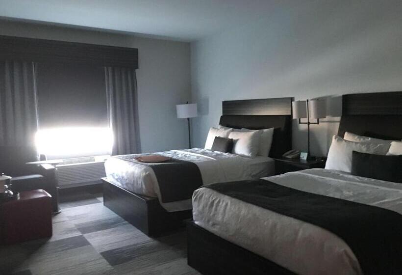 Quarto Estandar, Best Western Plus Airport Inn & Suites