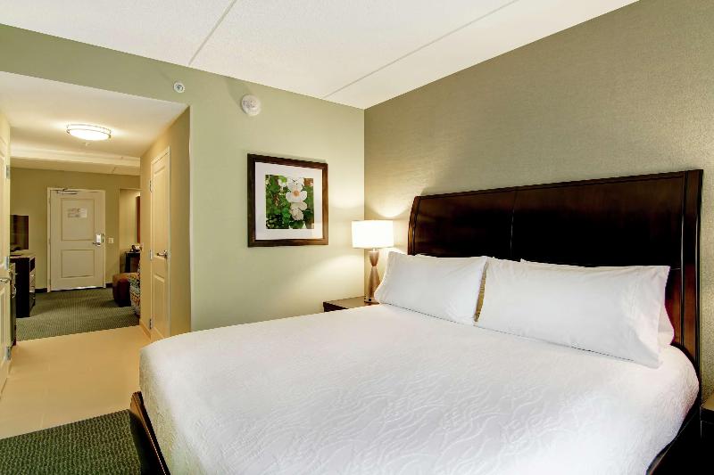 带大床的小型套房, Hilton Garden Inn Woodbridge