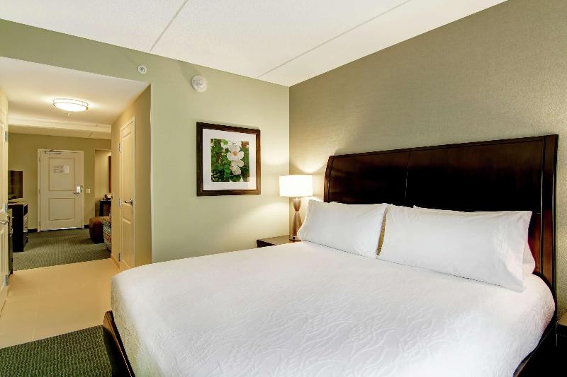 带大床的小型套房, Hilton Garden Inn Woodbridge