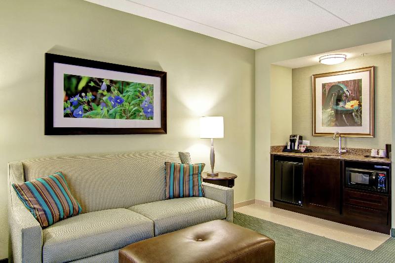 带大床的套房, Hilton Garden Inn Woodbridge