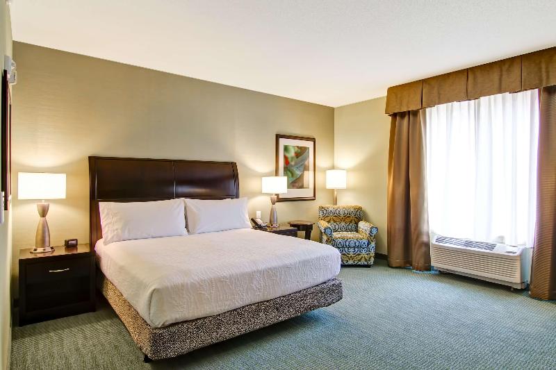 带大床的套房, Hilton Garden Inn Woodbridge