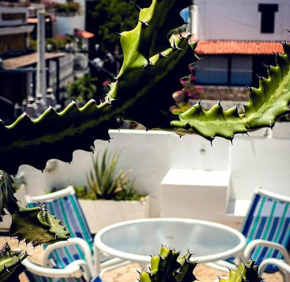 اتاق لوکس, The Orange House Santa Marta