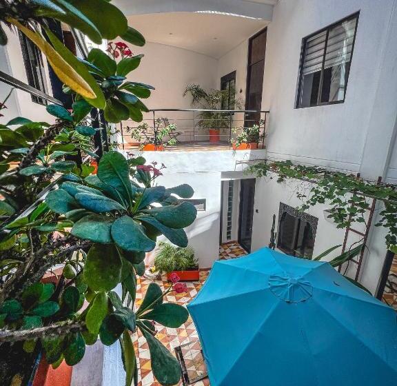 سوئیت با تخت بزرگ, The Orange House Santa Marta