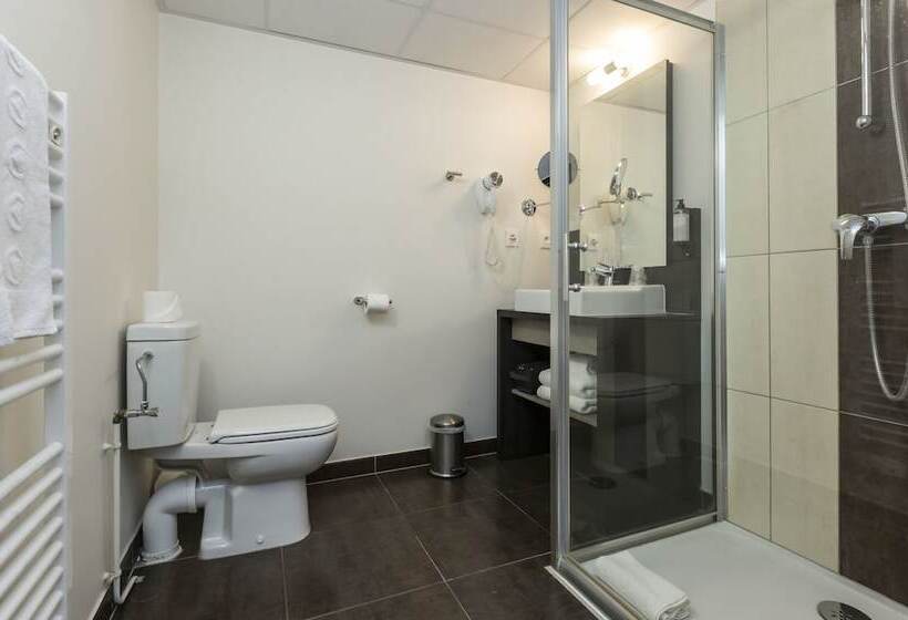 Студия Стандарт, Odalys City Colmar La Rose D Argent