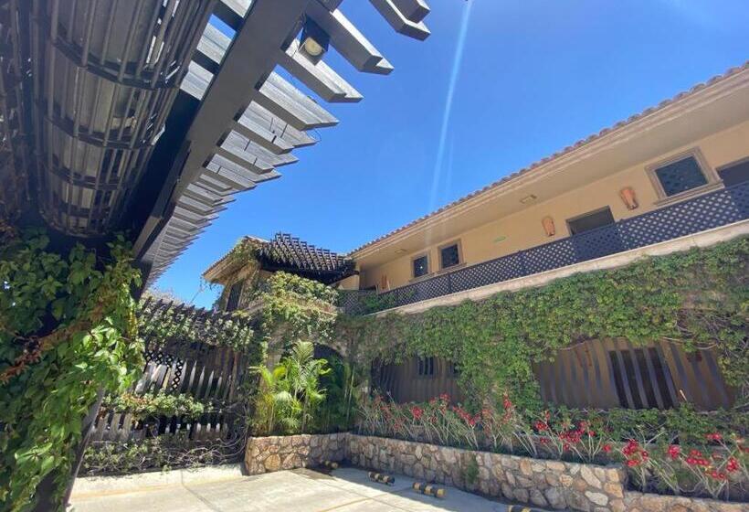 クラシックスイート, Cabo Vista Hotel Adults Only