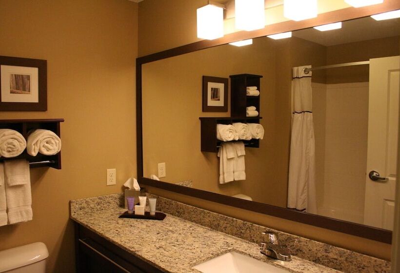 Люкс Deluxe Кровать Кинг, Grandstay Hotel & Suites   Morris