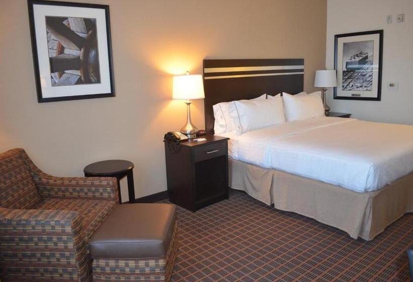 스탠다드 룸 킹사이즈 침대, Holiday Inn Express & Suites Golden, An Ihg