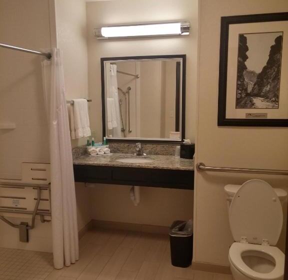 장애인을 위한 킹사이즈 침대 스탠다드 룸, Holiday Inn Express & Suites Golden, An Ihg