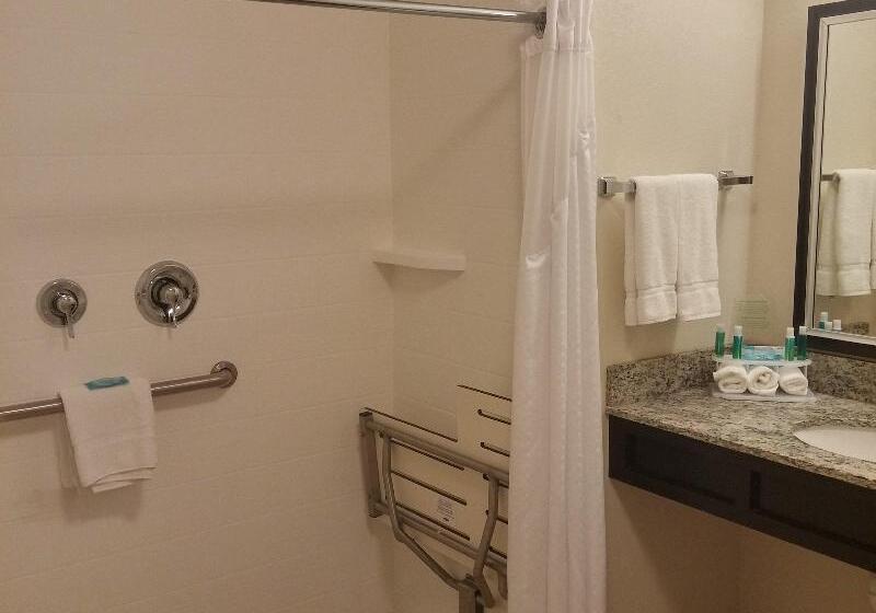 스탠다드 룸 킹사이즈 침대, Holiday Inn Express & Suites Golden, An Ihg