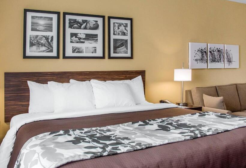 장애인을 위한 킹사이즈 침대 스탠다드 룸, Sleep Inn & Suites Parkersburg
