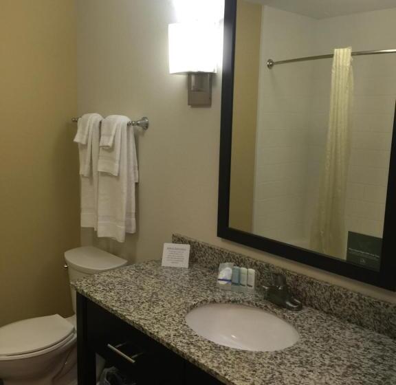适合残疾人士使用的带超级大床的标准间, Sleep Inn & Suites Parkersburg
