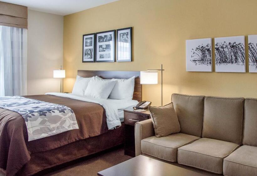장애인을 위한 킹사이즈 침대 스탠다드 룸, Sleep Inn & Suites Parkersburg