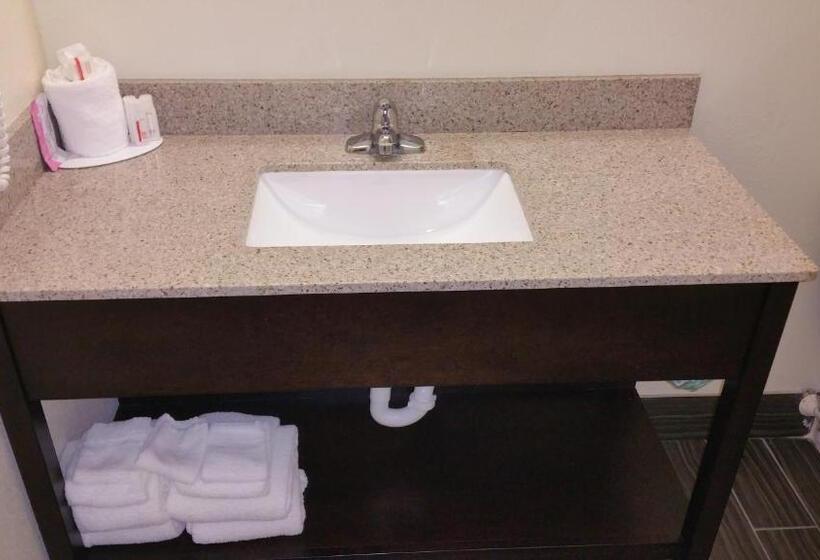 Номер Стандарт, Americas Best Value Inn Phenix City