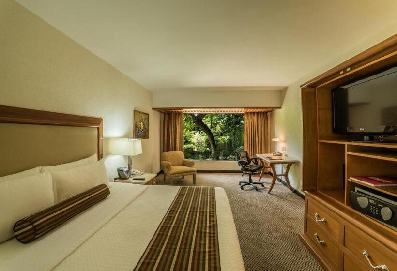 带大床的俱乐部房间, Wyndham Garden Guadalajara Expo Plaza Del Sol
