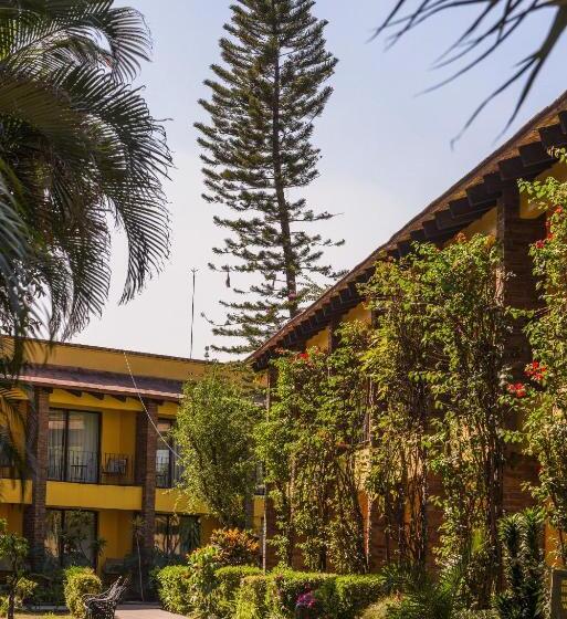 带大床的套房, Wyndham Garden Guadalajara Expo Plaza Del Sol
