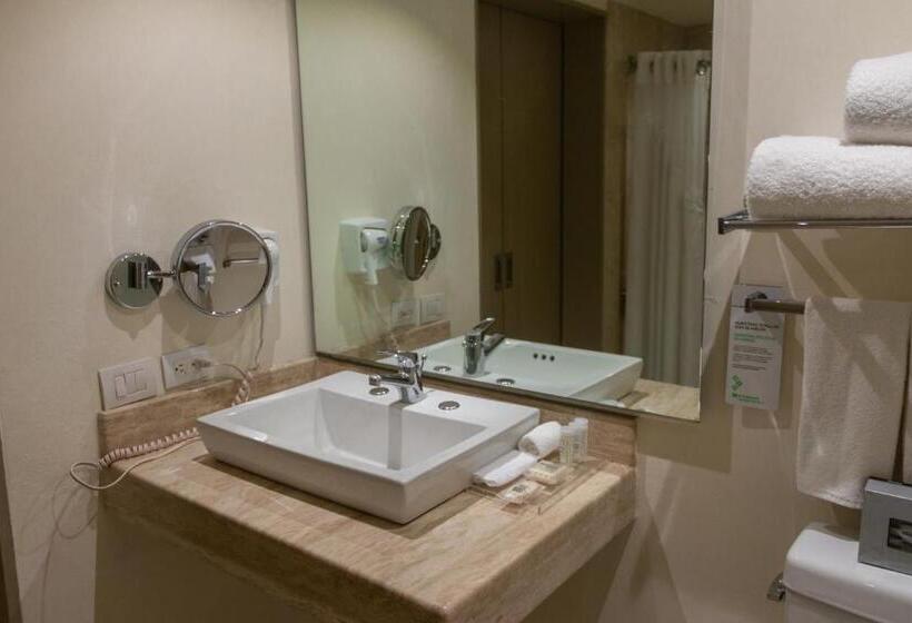 家庭套房, Wyndham Garden Guadalajara Expo Plaza Del Sol