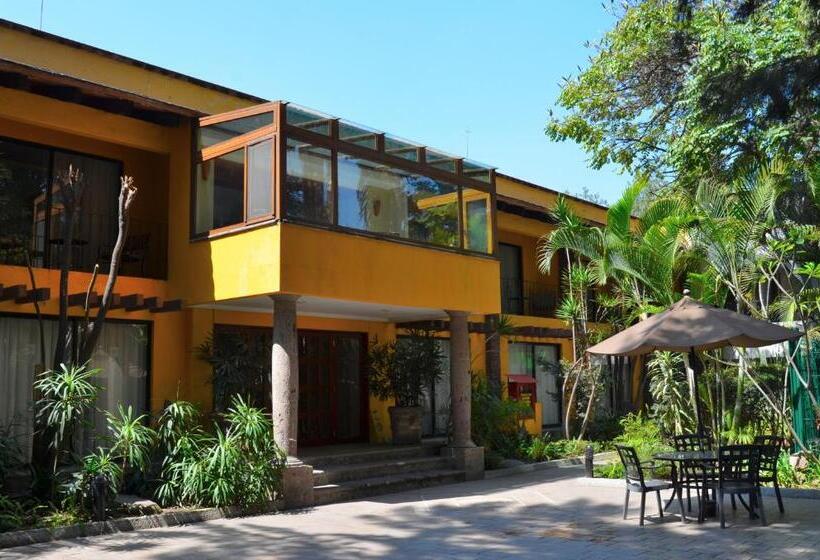 带大床的小型套房, Wyndham Garden Guadalajara Expo Plaza Del Sol