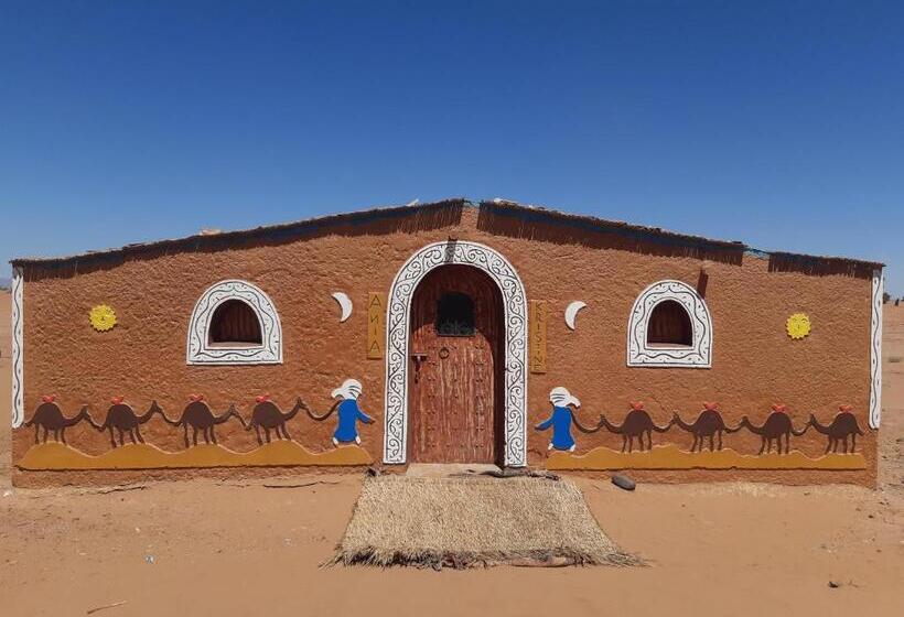 اتاق استاندارد چهارنفره با چشم‌انداز باغ, Camp Mhamid Sahara Tours