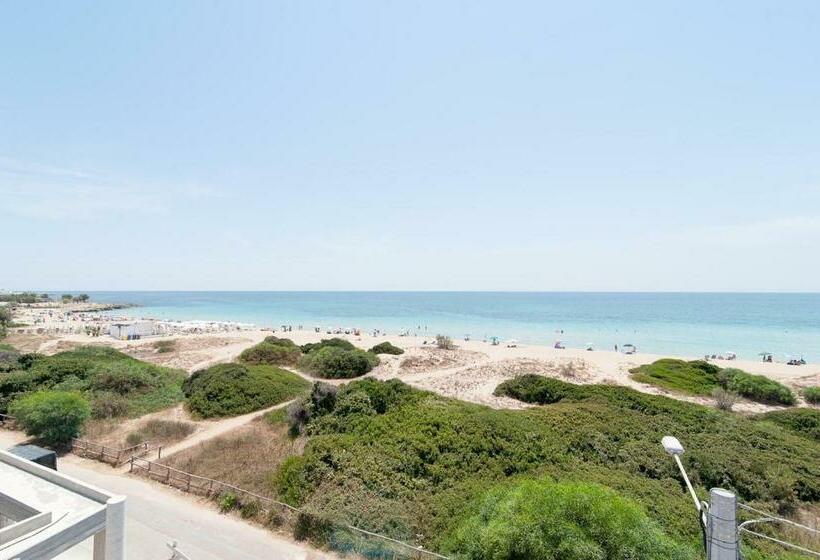اتاق استاندارد, La Finestra Sul Mare