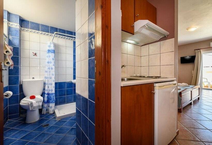 استودیوی استاندارد, Irinoula Dreams