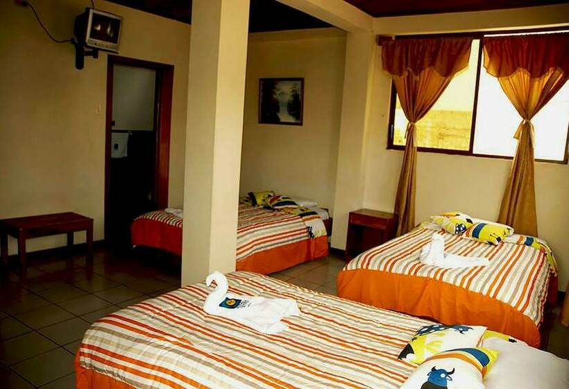 Номер Стандарт Трехместный, Castro Galapagos