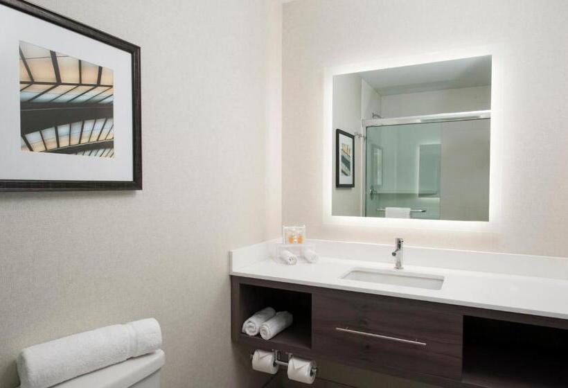 Номер Deluxe Кровать Кинг, Holiday Inn Cleveland Clinic, An Ihg