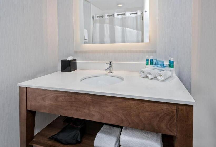 스탠다드 룸 킹사이즈 침대, Holiday Inn Express & Suites Round Rock   Austin N, An Ihg