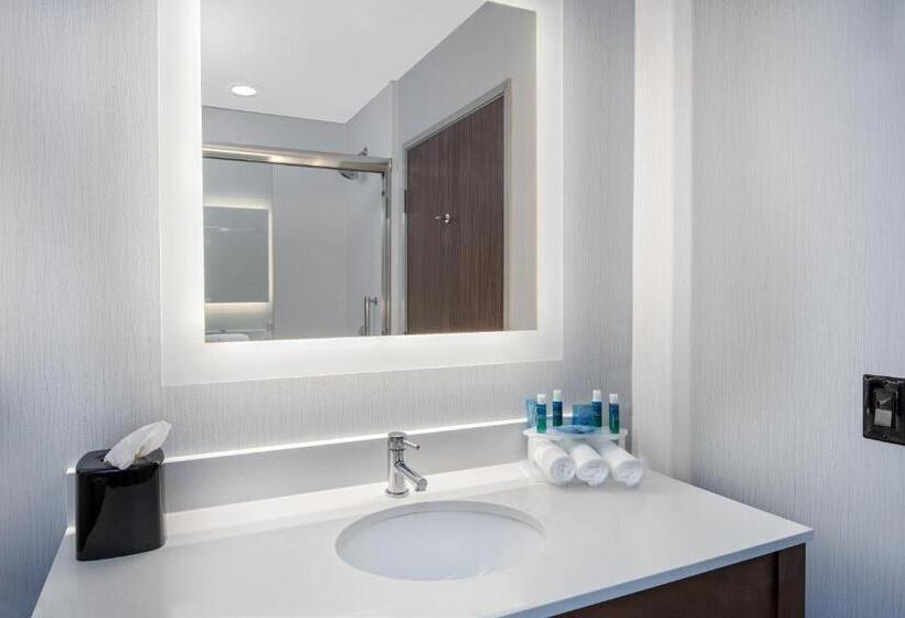 장애인을 위한 스위트, Holiday Inn Express & Suites Round Rock   Austin N, An Ihg