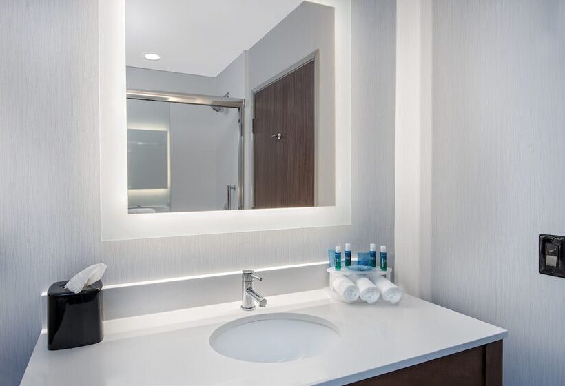 Люкс Адаптированный для Инвалидов, Holiday Inn Express & Suites Round Rock   Austin N, An Ihg