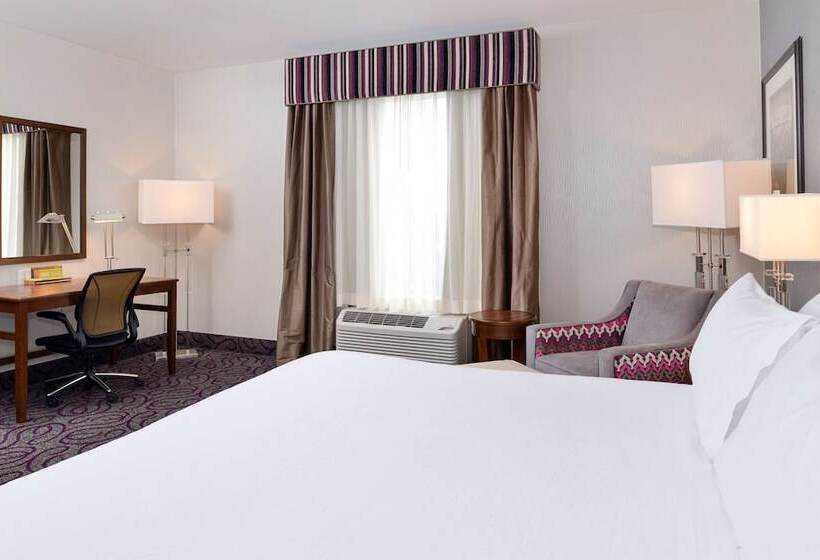 Номер Стандарт Кровать Кинг Адаптированный для Инвалидов, Hilton Garden Inn Hobbs