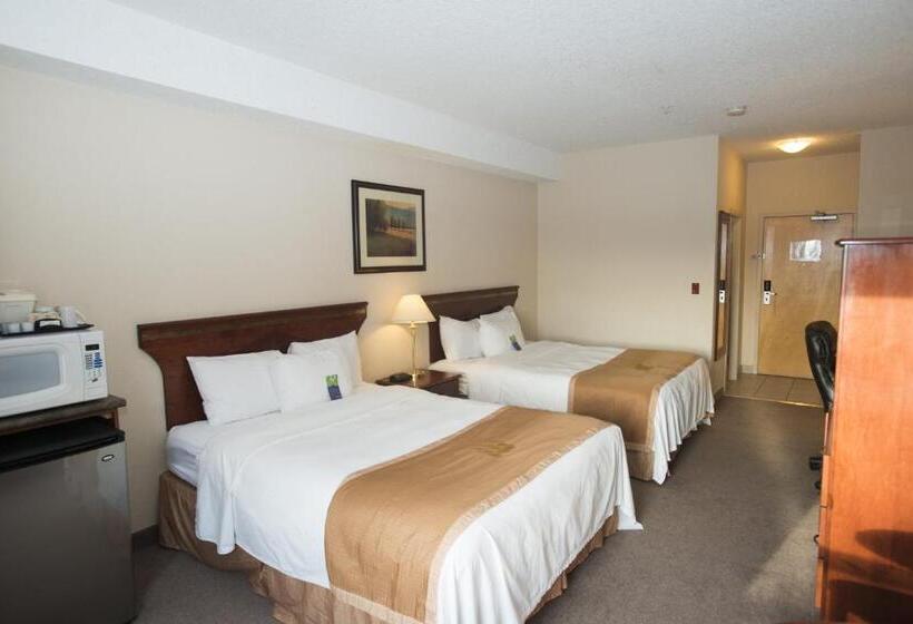 Номер Стандарт, Lakeview Inns & Suites  Chetwynd
