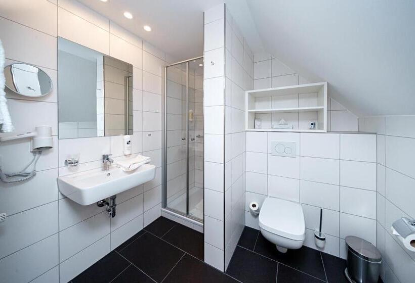 Номер Комфорт Индивидуальный, Parkhotel Pyrmont