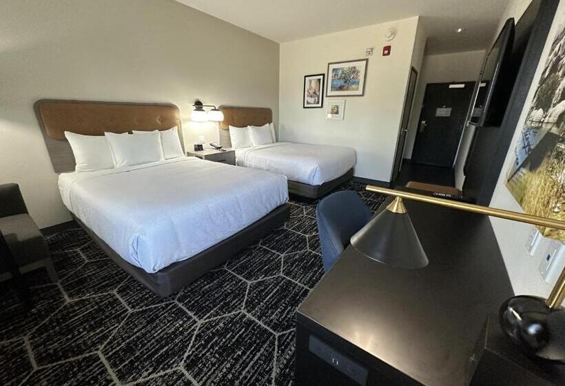 Номер Стандарт Кровать Квин Адаптированный для Инвалидов, La Quinta Inn & Suites By Wyndham Yucaipa