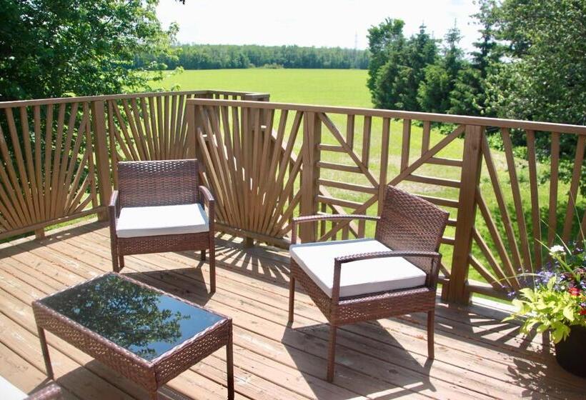 스탠다드 룸 킹사이즈 침대, A Touch Of Country Bed & Breakfast