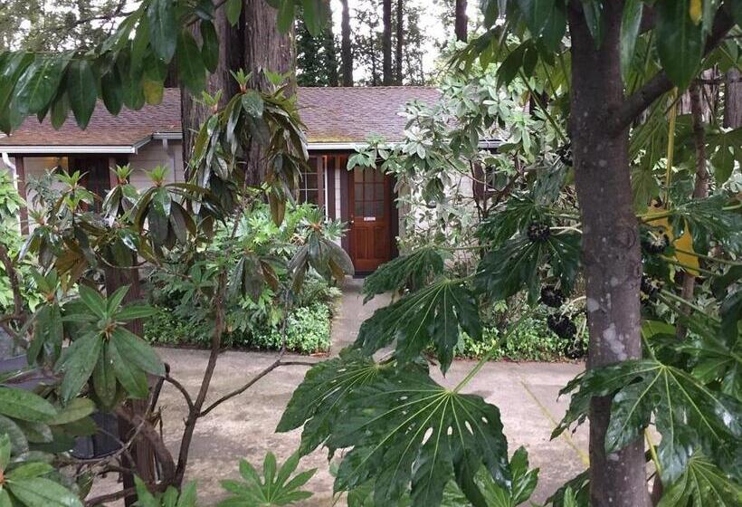 Номер Стандарт, Miranda Gardens Resort