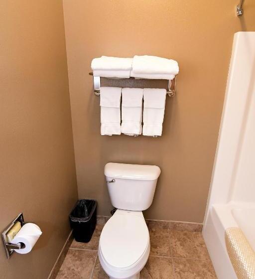 Стандартный Номер Кровать Кинг, Cobblestone Inn & Suites   Denison | Majestic Hills