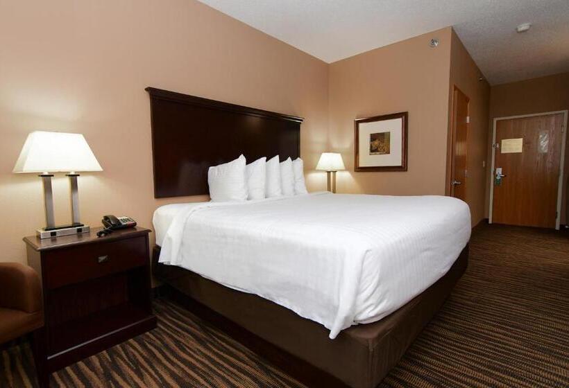 Стандартный Номер Кровать Кинг, Cobblestone Inn & Suites   Denison | Majestic Hills
