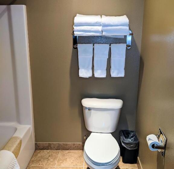 Люкс Семейный 2 Спальни, Cobblestone Inn & Suites   Denison | Majestic Hills