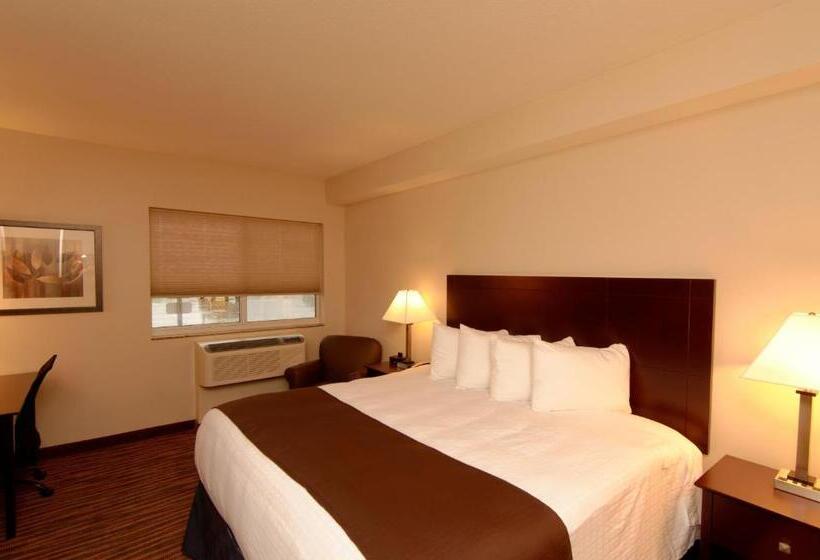 带大床的标准间, Cobblestone Inn & Suites  Fort Madison