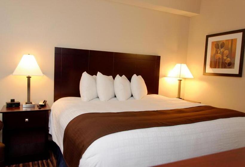 Стандартный Номер Кровать Кинг, Cobblestone Inn & Suites  Fort Madison